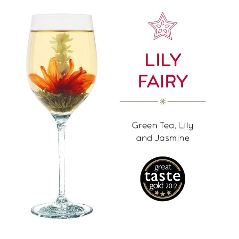 Flora Tea Theebloem 'Lily Fairy'